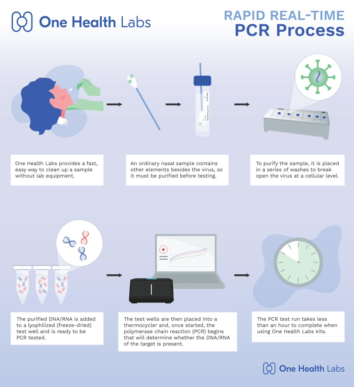 How Rapid PCR Testing Works One Health Labs